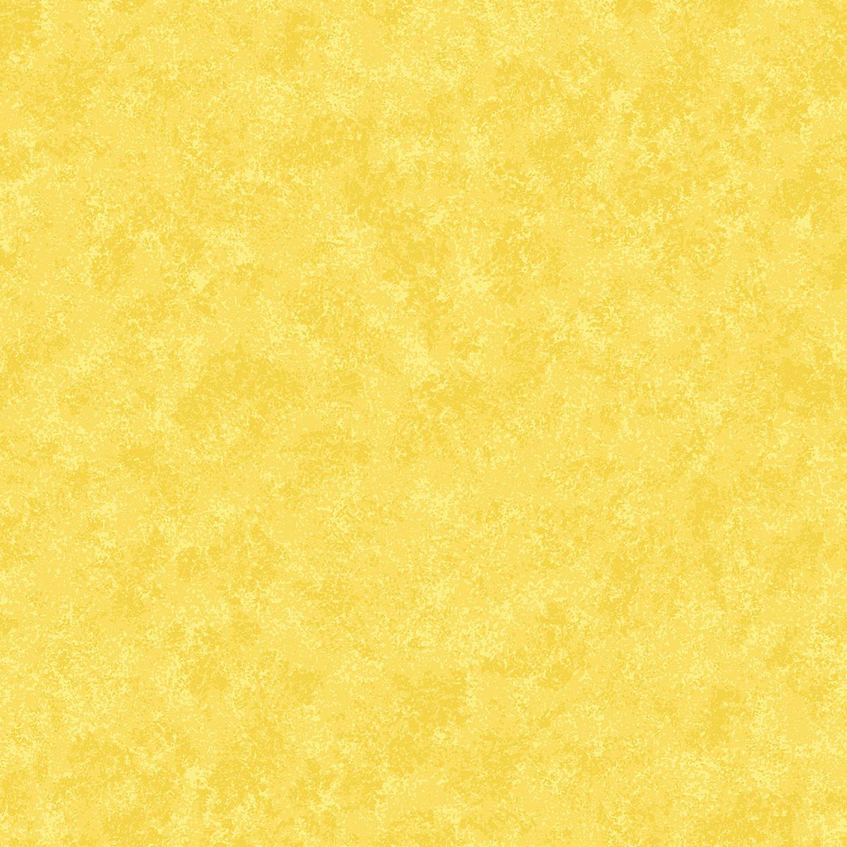 Spraytime - Daffodil Y82