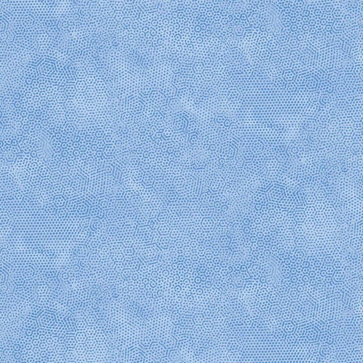 Dimples - Wild Blue Yonder B9