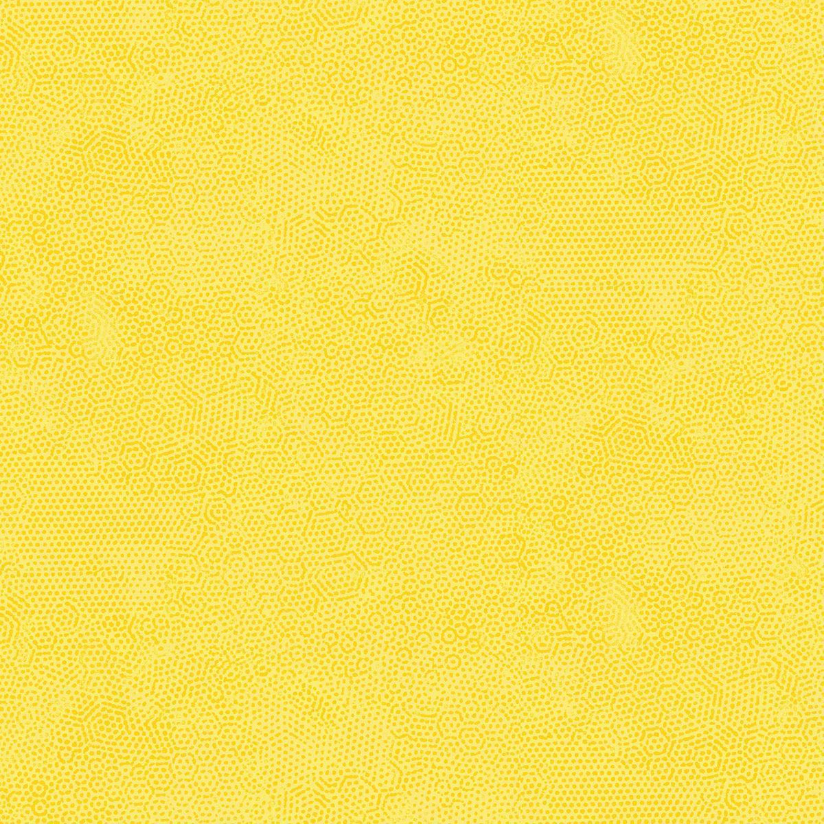 Dimples - Sunny Y3