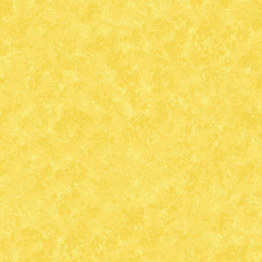 Spraytime - Daffodil Y82
