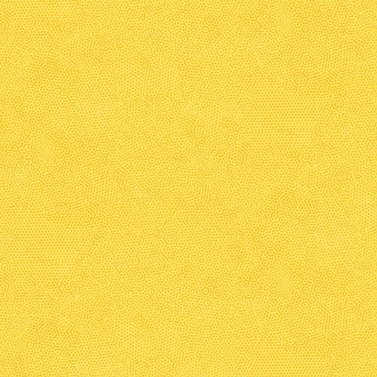 Dimples - Golden Y23