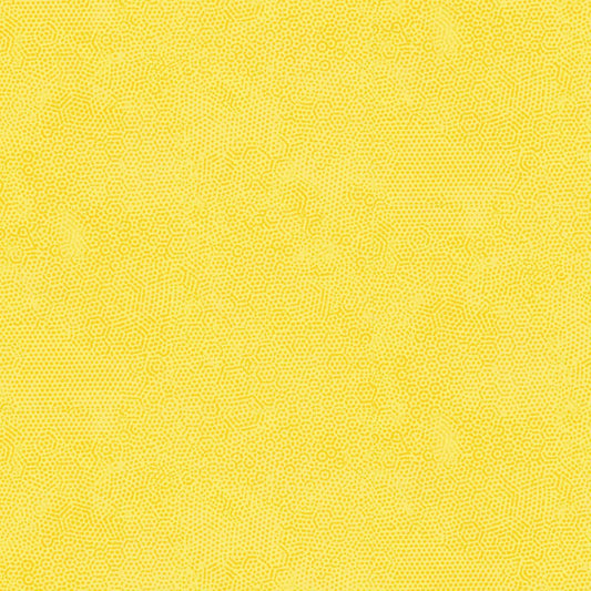 Dimples - Sunny Y3